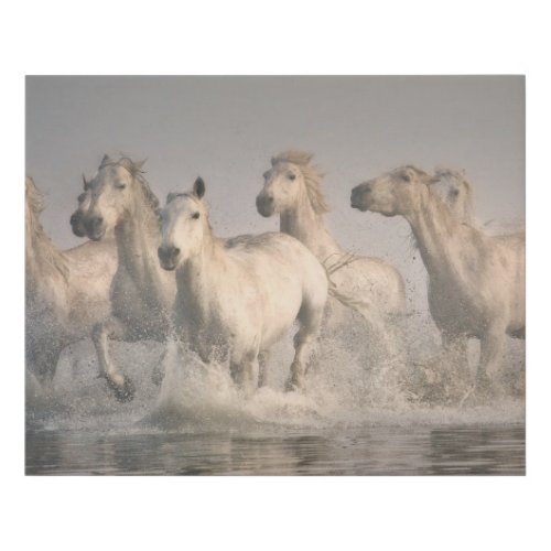 Horse Galloping in the Mediterranean Water Faux Canvas Print