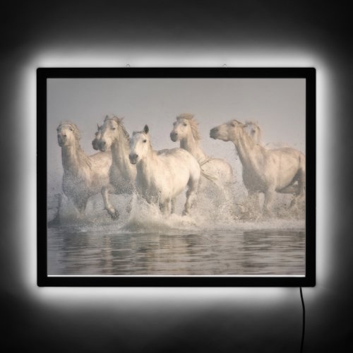 Horse Galloping in the Mediterranean Water LED Sign