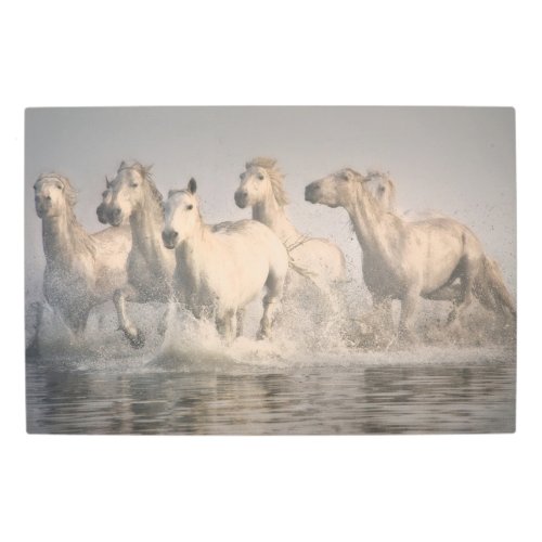 Horse Galloping in the Mediterranean Water Metal Print