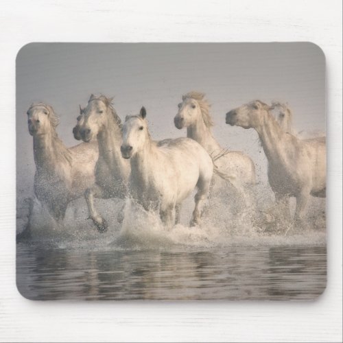 Horse Galloping in the Mediterranean Water Mouse Pad