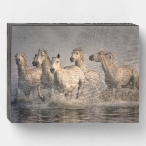 Horse Galloping in the Mediterranean Water Wooden Box Sign