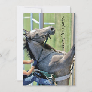 Horse Galloping - Saratoga - Invitation