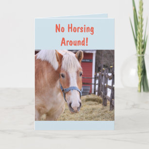 Horse Get Well Soon Card