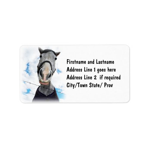 Horse Getting Lippy _  Funny Face Label