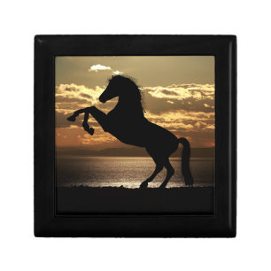 horse gift box