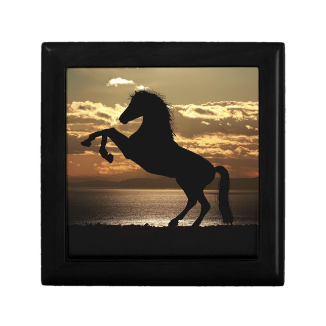horse gift box (Front)