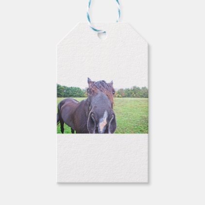 Horse Gift Tags
