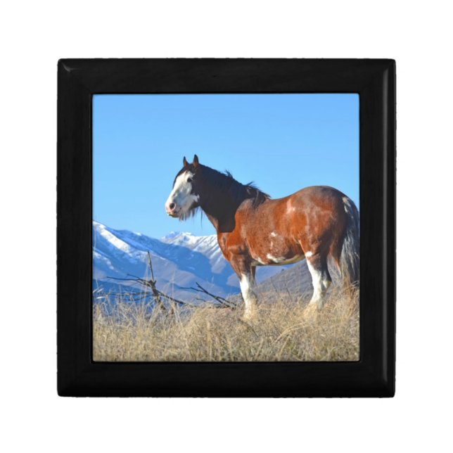 Horse Grass and Mountains Gift Box (Front)