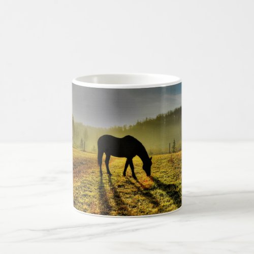 Horse Grazing at Sunrise in Misty Field Photo Coffee Mug