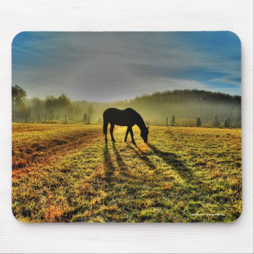 Horse Grazing at Sunrise in Misty Field Photo Mouse Pad