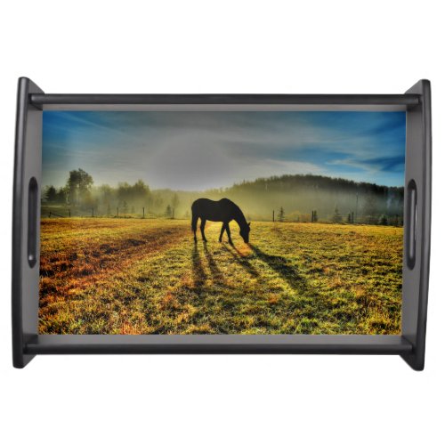 Horse Grazing at Sunrise in Misty Field Photo Serving Tray