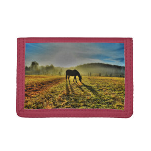 Horse Grazing at Sunrise in Misty Field Photo Trifold Wallet