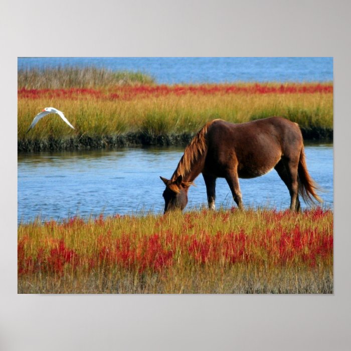 Horse Grazing Beside the Water Poster