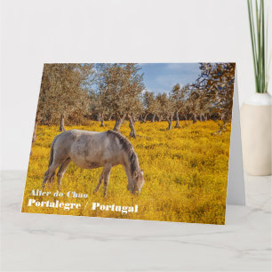 Horse grazing in a yellow flowers meadow thank you card