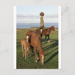 Horse grazing in Easter Island (Rapa Nui). Holiday Postcard