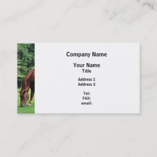 Horse Grazing in Pasture Business Card