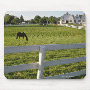 Horse grazing on farm mouse pad