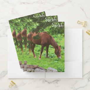 Horse Grazing Pocket Folder