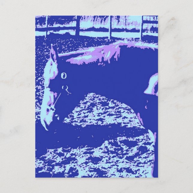Horse Grazing Pop Art Postcard (Front)