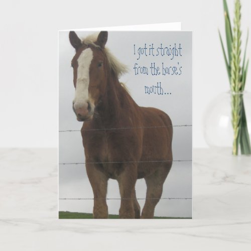 Horse Greeting Card