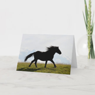 Horse Greeting Card