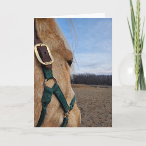 Horse greeting card