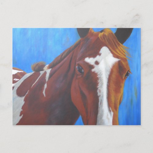 Horse greeting card