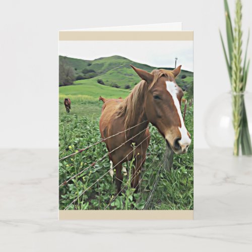 Horse Greeting Card Blank Card