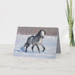 Horse Greeting Card - Dappled Gray Snow Stallion
