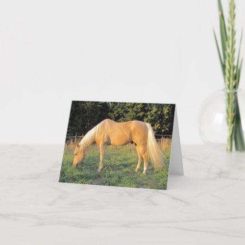 Horse Greeting or Note card 1