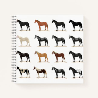 horse hair color notebook