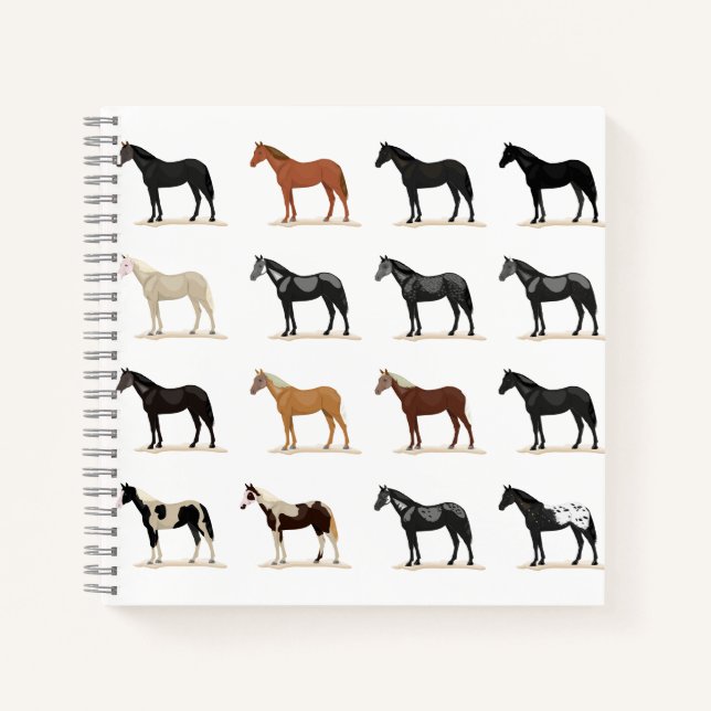 horse hair color notebook (Front)