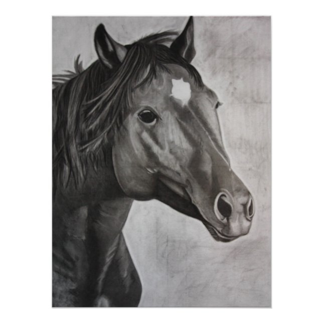 Horse Hand Drawn Art  Poster (Front)