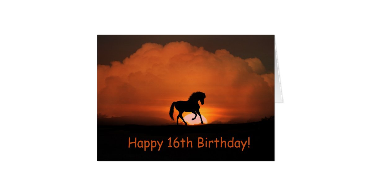 Horse Happy 16th Birthday Card | Zazzle.com