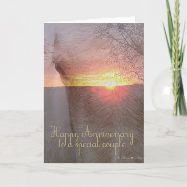 Horse Happy Anniversary Card (Front)