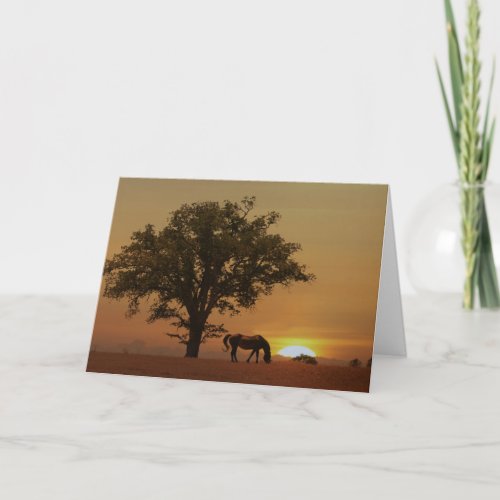 Horse Happy Birthday Beautiful Day with Oak Tree Card