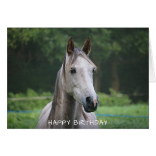 Horse Happy Birthday Card