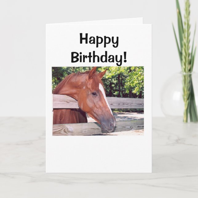 Horse, Happy Birthday! Card (Front)