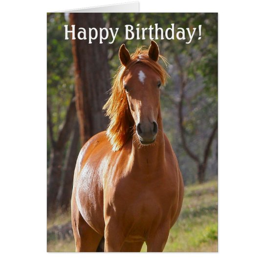 Horse Happy Birthday Card For Horse Lovers Zazzle