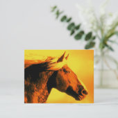 Horse Head (Standing Front)