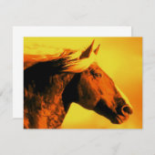 Horse Head (Front/Back)