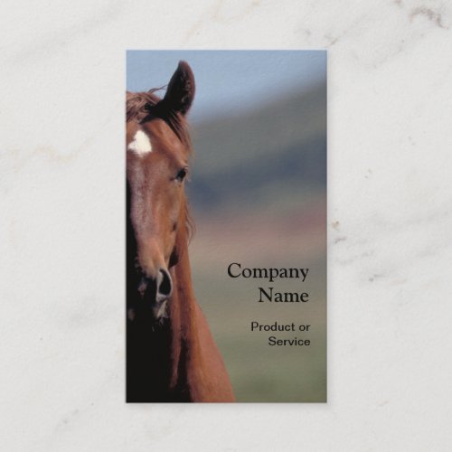 Horse head business card