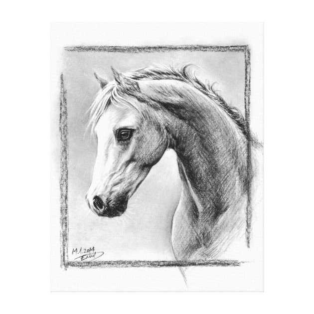 Horse sketch  DanielBlacklockArt  Drawings  Illustration Animals  Birds  Fish Horses  ArtPal