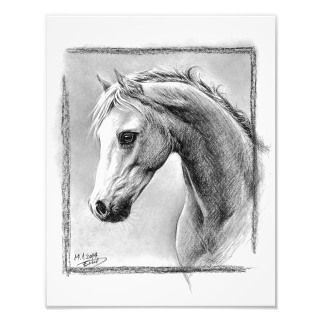 Horse head Charcoal drawing Equine art Photo Print (Front)