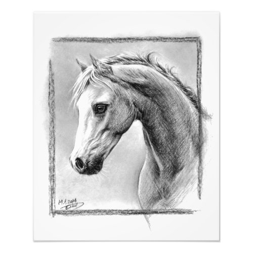 Horse head Charcoal drawing Equine art Photo Print