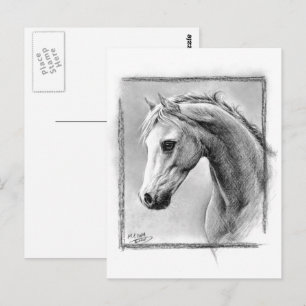 Horse head Charcoal drawing Equine art Postcard