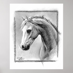 4100 Horse Head Drawing Stock Photos Pictures  RoyaltyFree Images   iStock