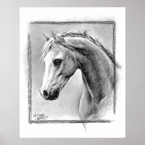 Horse head Charcoal drawing Equine art Poster