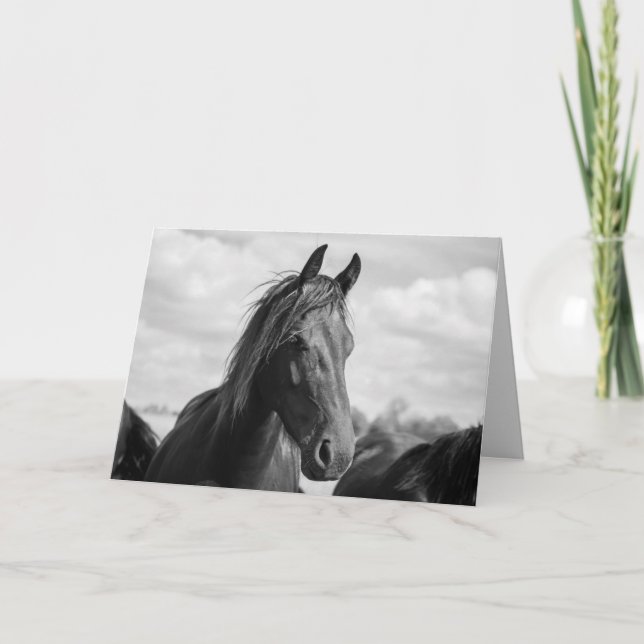 horse head greeting card (Front)