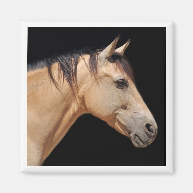 Horse Head Magnet (Front)